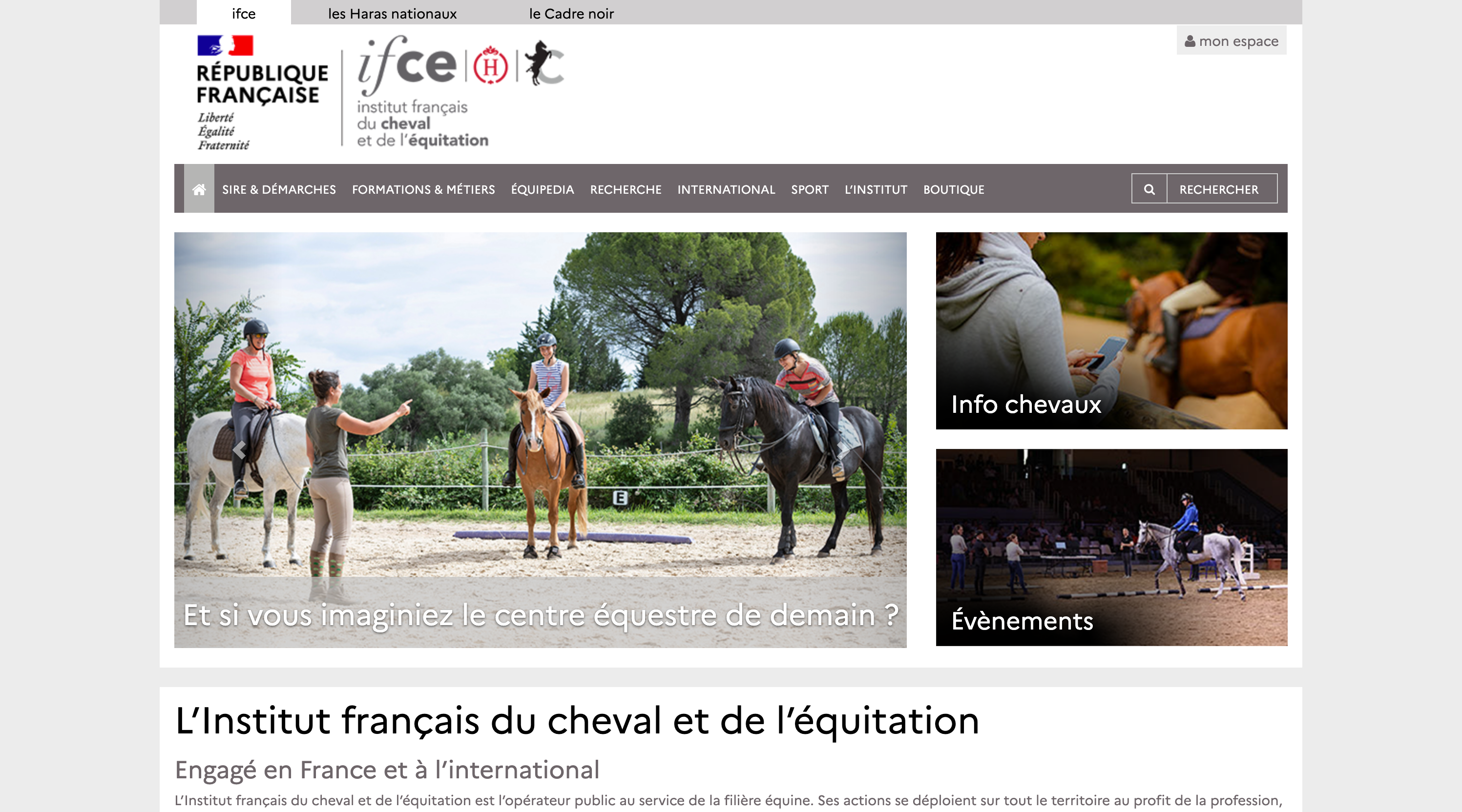 IFCE - Cartes de Saillie